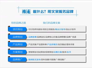 創(chuàng)業(yè)融資實(shí)務(wù)指南 從商業(yè)計(jì)劃書到項(xiàng)目落地